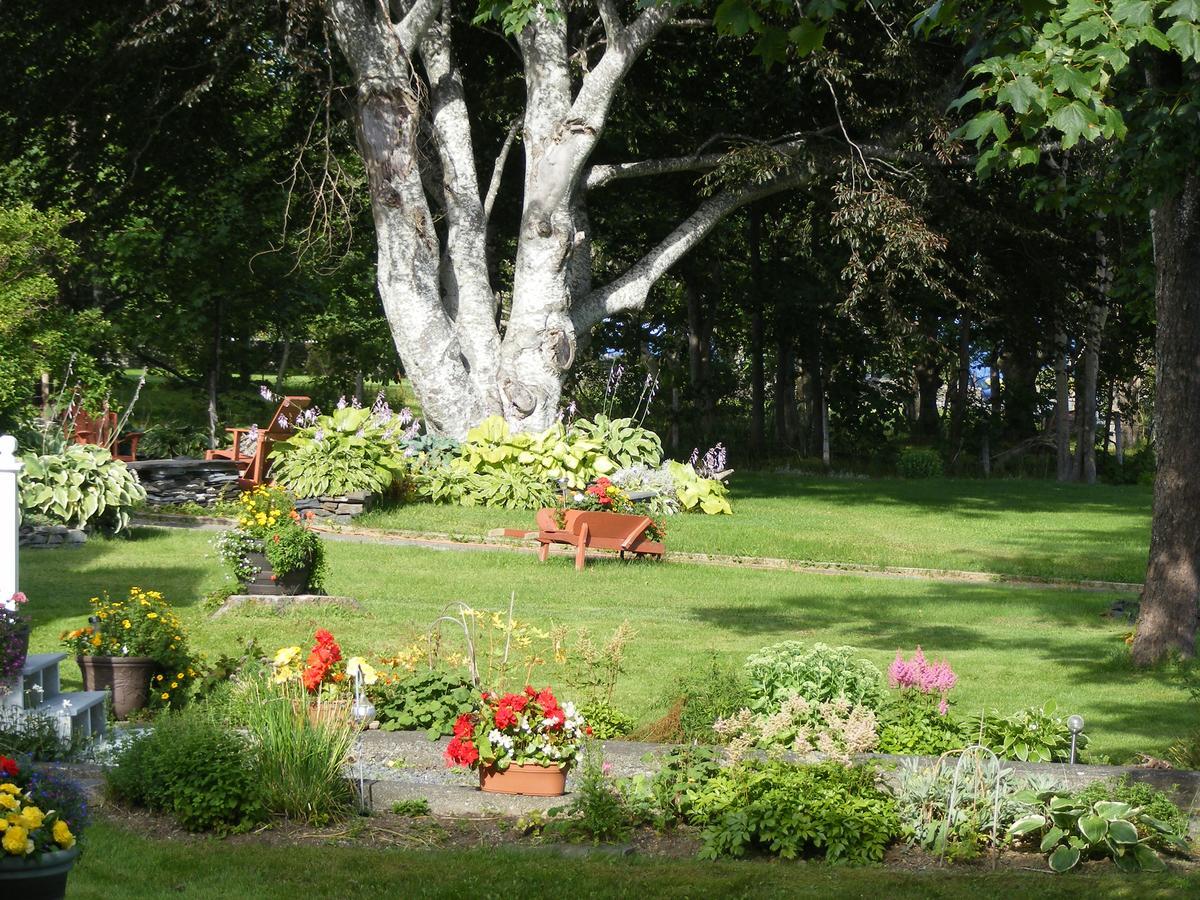 Rothesay House Heritage Inn B&B Harbour Grace Exterior foto